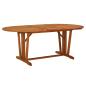 Preview: ARDEBO.de - Gartentisch 200x100x75 cm Massivholz Eukalyptus