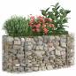 Preview: Gabionen-Hochbeet Verzinktes Eisen 120x50x50 cm