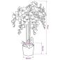 Preview: Künstliche Orchidee mit Topf 75 cm Weiß