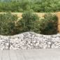 Preview: ARDEBO.de - Gabione mit Hochbogen 200x50x60/80 cm Verzinktes Eisen
