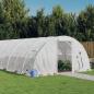 Preview: ARDEBO.de - Gewächshaus mit Stahlrahmen Weiß 96 m² 24x4x2 m