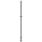 Preview: Gartentor Anthrazit 100x200 cm Stahl Gras-Design