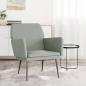Preview: ARDEBO.de - Sessel Hellgrau 62x79x79 cm Samt