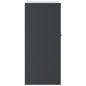 Preview: Aktenschrank Anthrazit 79x40x90 cm Stahl