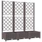 Preview: Garten-Pflanzgefäß mit Spalier Braun 120 x 40 x 121,5 cm PP
