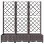 Preview: Garten-Pflanzgefäß mit Spalier Braun 120 x 40 x 121,5 cm PP