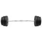 Preview: Curlstange mit Hantelscheiben 90 kg
