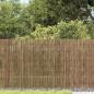 Preview: ARDEBO.de - Gartenzaun 300x80 cm Schilf
