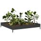 Preview: Hochbeet Schwarz 100x100x18,5 cm Stahl