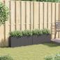 Preview: Pflanzkübel mit 2 Töpfen 2 Stk. Schwarz 90x20x40 cm Poly Rattan