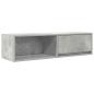 Preview: TV-Schrank Betongrau 100x31x25,5 cm Holzwerkstoff