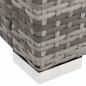 Preview: Doppel-Sonnenliege Poly Rattan Grau