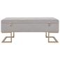 Preview: Bank mit Staufach 105 cm Grau Samt