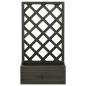 Preview: Garten-Spalier mit Blumenkasten Grau 50x25x90 cm Tannenholz