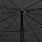 Preview: Sonnenschirm mit Mast 200x130 cm Anthrazit