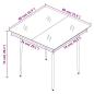 Preview: Garten-Esstisch Schwarz 80x80x74 cm Stahl und Glas
