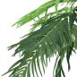 Preview: Künstliche Palme Phönix mit Topf 305 cm Grün