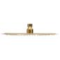 Preview: Regenbrause Edelstahl 25 cm Rund Golden