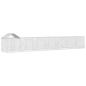 Preview: Outdoor-Hundezwinger mit Dach Silbern 14x2x2,5 m Stahl Verzinkt