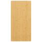 Preview: ARDEBO.de - Tischplatte 40x80x2,5 cm Bambus