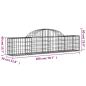 Preview: Gabionen mit Hochbogen 2 Stk. 200x30x40/60 cm Verzinktes Eisen