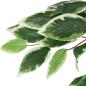 Preview: Ficusbaum Künstlich 1008 Blätter 180 cm Grün
