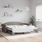 Preview: ARDEBO.de - Tagesbett Ausziehbar Taupe 100x200 cm Stoff