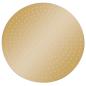 Preview: Regenbrause Edelstahl 40 cm Rund Golden