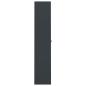 Preview: Aktenschrank Anthrazit 105x40x180 cm Stahl