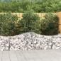 Preview: ARDEBO.de - Gabionen mit Hochbogen 15 Stk. 200x50x60/80 cm Verzinktes Eisen