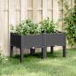 Preview: ARDEBO.de - Pflanzkasten mit Beinen Schwarz 80x40x42 cm PP