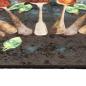 Preview: Küchenteppich Mehrfarbig 60x180 cm Waschbar