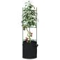 Preview: ARDEBO.de - Tomatenkäfige mit Pflanzsäcken 4 Stk. 116 cm Stahl und PP