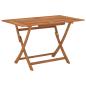 Preview: Gartentisch Klappbar 120x70x75 cm Massivholz Eukalyptus