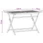 Preview: Gartentisch Klappbar 120x70x75 cm Massivholz Eukalyptus
