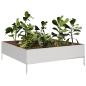 Preview: Hochbeet 100x100x33,5 cm Edelstahl
