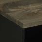 Preview: TV-Schrank 100x33x46 cm Massivholz Mango