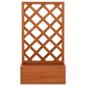 Preview: Garten-Spalier mit Blumenkasten Orange 50x25x90 cm Tannenholz