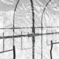 Preview: Gewächshaus Transparent 160x400x190 cm PVC & Stahl