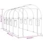 Preview: Gewächshaus Transparent 160x400x190 cm PVC & Stahl