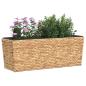 Preview: Blumenkasten 2 Stk. Wasserhyazinthe