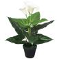 Preview: ARDEBO.de - Künstliche Calla-Lilie mit Topf 45 cm Weiß