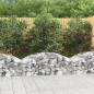 Preview: ARDEBO.de - Gabione mit Hochbogen 150x50x40/60 cm Verzinktes Eisen
