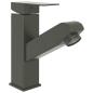 Preview: Waschbeckenarmatur mit Herausziehbarer Brause Grau 157x172 mm