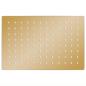 Preview: Regenbrause Edelstahl 30x20 cm Rechteckig Golden