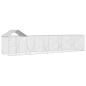 Preview: Outdoor-Hundezwinger mit Dach Silbern 10x2x2,5 m Stahl Verzinkt