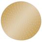 Preview: Regenbrause Edelstahl 50 cm Rund Golden