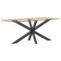 Preview: Esstischbein in Spinnenform Anthrazit 150x78x(72-73) cm Stahl
