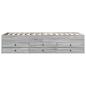 Preview: Bettgestell mit Stauraum Grau Sonoma 80 x 200 cm Holzwerkstoff