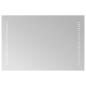 Preview: LED-Badezimmerspiegel Transparent 60 x 40 cm Gehärtetes Glas